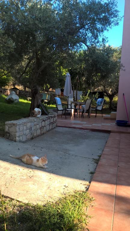 Apartamento Ktima Tzamika Episkopi-Chania Exterior foto