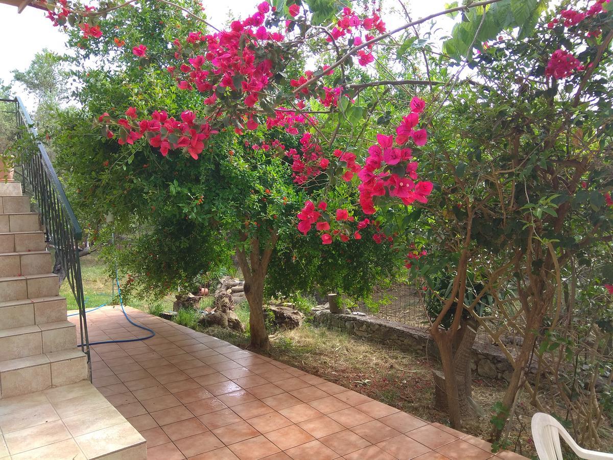 Apartamento Ktima Tzamika Episkopi-Chania Exterior foto